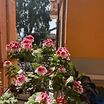 Sissi House 아파트 살레르노
