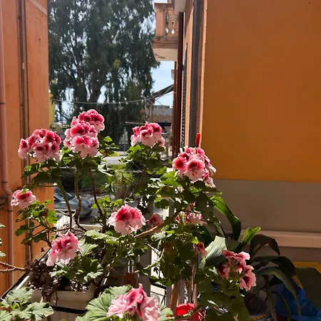 Sissi House 아파트 살레르노